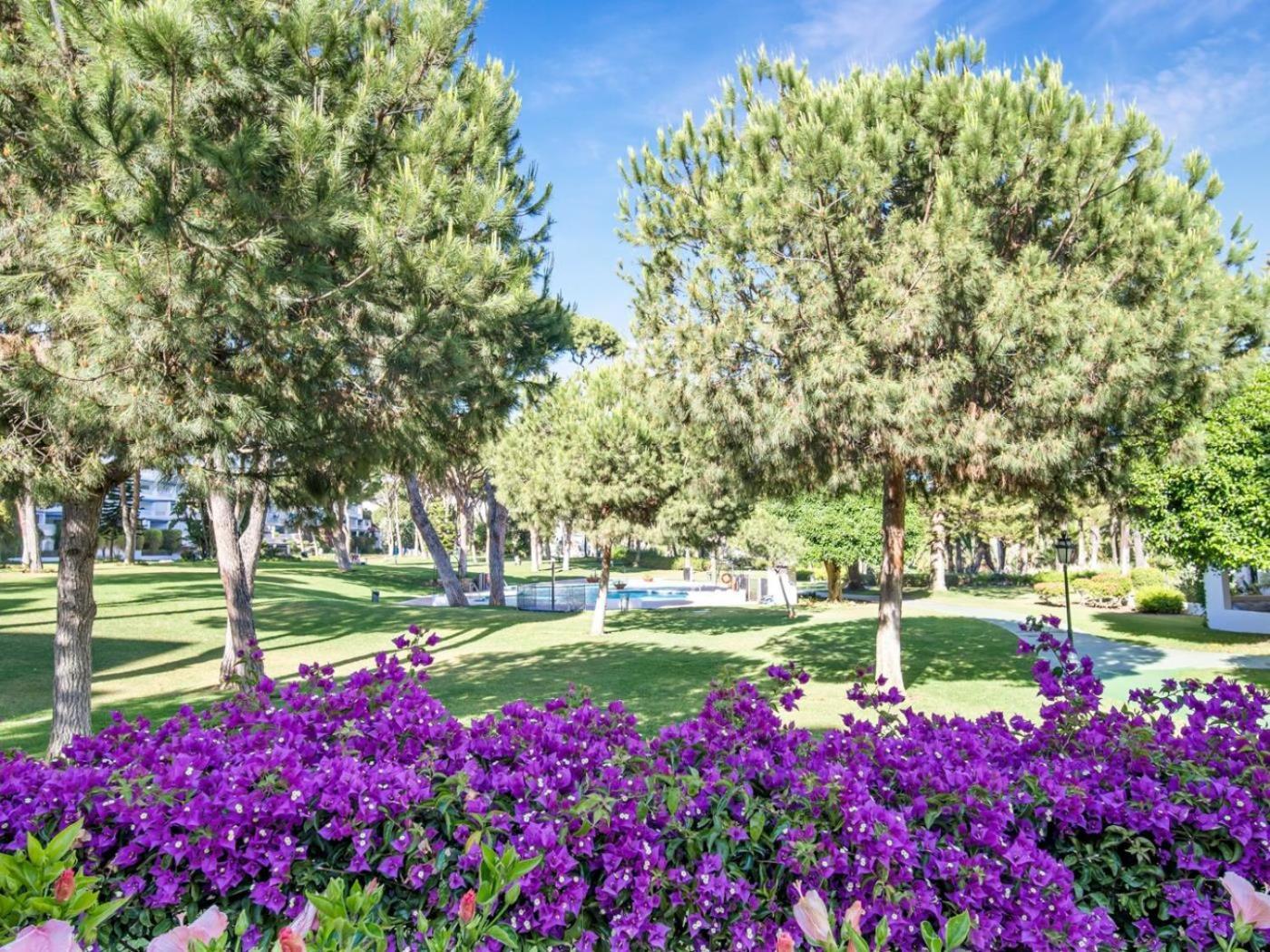 02 Bdr Cadiz 208 Apartment Marbella